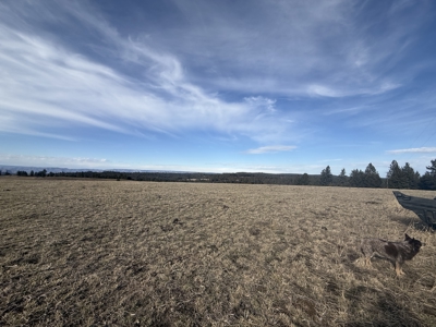 Land for Sale in Idaho County, ID at Hatke Place Ranch - image 14