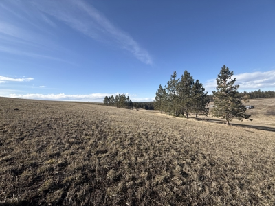Land for Sale in Idaho County, ID at Hatke Place Ranch - image 34