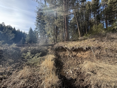 Land for Sale in Idaho County, ID at Hatke Place Ranch - image 26