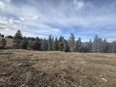 Land for Sale in Idaho County, ID at Hatke Place Ranch - image 7