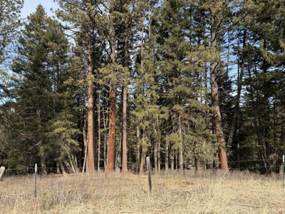 Land for Sale in Idaho County, ID at Hatke Place Ranch - image 9