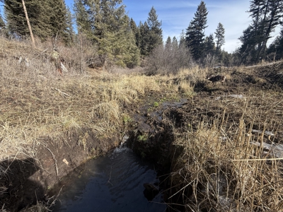 Land for Sale in Idaho County, ID at Hatke Place Ranch - image 25