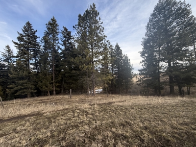 Land for Sale in Idaho County, ID at Hatke Place Ranch - image 10