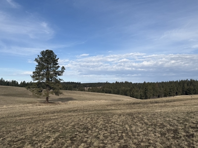 Land for Sale in Idaho County, ID at Hatke Place Ranch - image 1