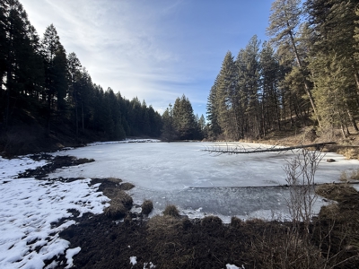 Land for Sale in Idaho County, ID at Hatke Place Ranch - image 23