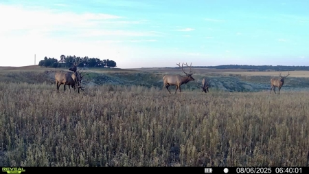 Newton Grove | Yellowstone County, Montana - image 15