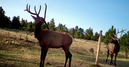 Newton Grove | Yellowstone County, Montana - image 25