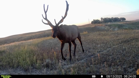 Newton Grove | Yellowstone County, Montana - image 16
