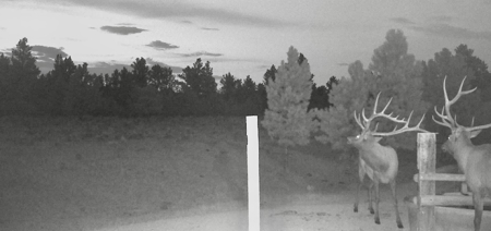 Newton Grove | Yellowstone County, Montana - image 34