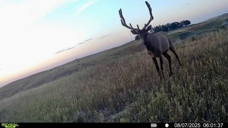 Newton Grove | Yellowstone County, Montana - image 14