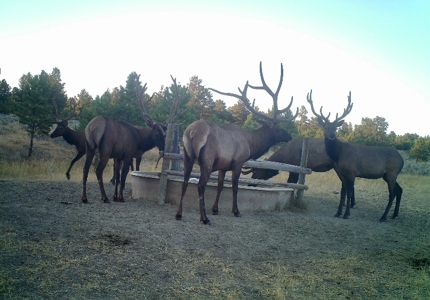 Newton Grove | Yellowstone County, Montana - image 7