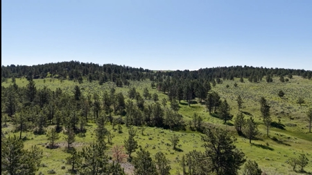 Newton Grove | Yellowstone County, Montana - image 29