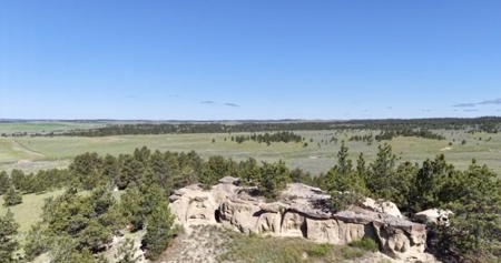 Newton Grove | Yellowstone County, Montana - image 33