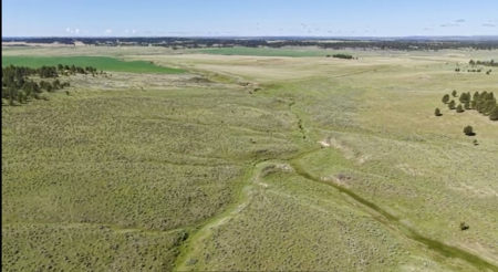 Newton Grove | Yellowstone County, Montana - image 30