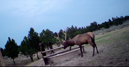 Newton Grove | Yellowstone County, Montana - image 22
