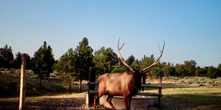 Newton Grove | Yellowstone County, Montana - image 20