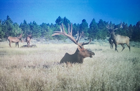 Newton Grove | Yellowstone County, Montana - image 38