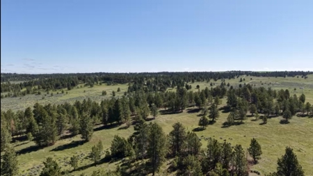 Newton Grove | Yellowstone County, Montana - image 32