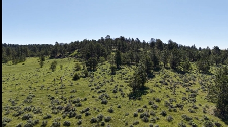 Newton Grove | Yellowstone County, Montana - image 4