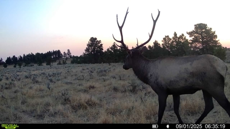 Newton Grove | Yellowstone County, Montana - image 12