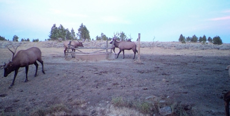 Newton Grove | Yellowstone County, Montana - image 19