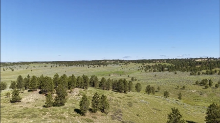 Newton Grove | Yellowstone County, Montana - image 3