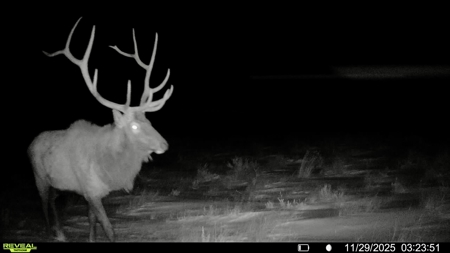 Newton Grove | Yellowstone County, Montana - image 8