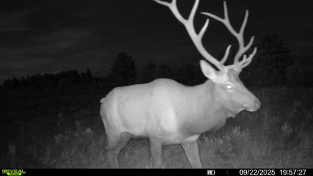 Newton Grove | Yellowstone County, Montana - image 11