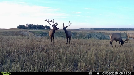 Newton Grove | Yellowstone County, Montana - image 13