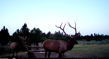 Newton Grove | Yellowstone County, Montana - image 21
