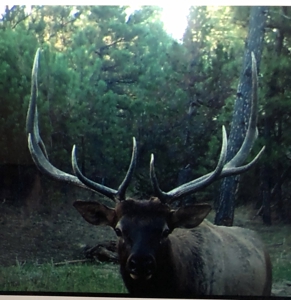 Newton Grove | Yellowstone County, Montana - image 17