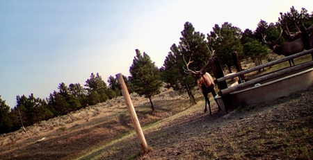 Newton Grove | Yellowstone County, Montana - image 23