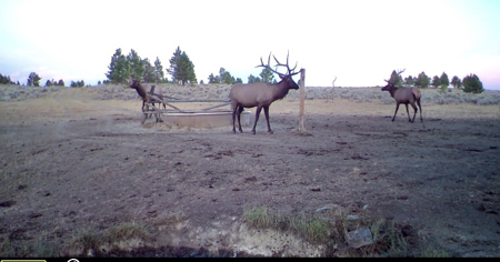 Newton Grove | Yellowstone County, Montana - image 18