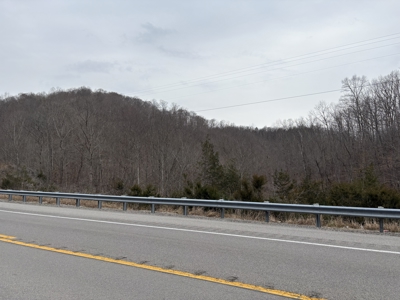 Hunting Paradise with Building Potential in Burkesville, Ky - image 1