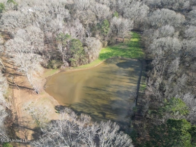 140 Acres with Farmhouse in Lorman, Mississippi - image 4