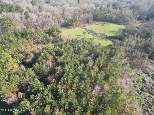 140 Acres with Farmhouse in Lorman, Mississippi