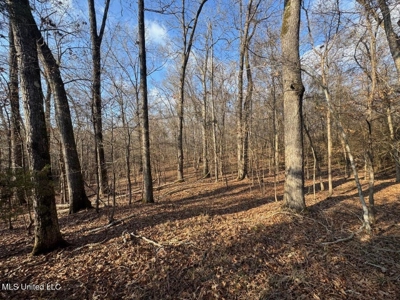 140 Acres with Farmhouse in Lorman, Mississippi - image 40