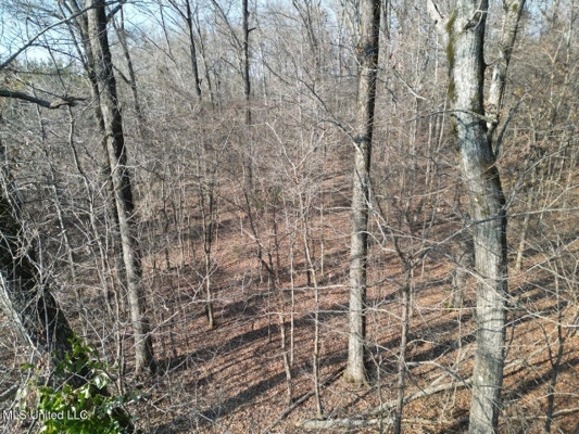 140 Acres with Farmhouse in Lorman, Mississippi
