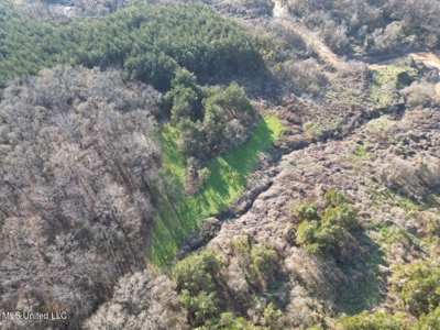 140 Acres with Farmhouse in Lorman, Mississippi - image 11