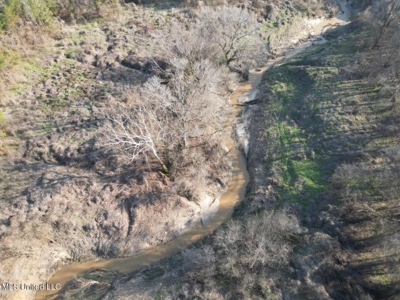 140 Acres with Farmhouse in Lorman, Mississippi - image 9