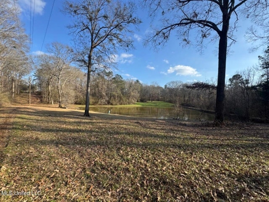 140 Acres with Farmhouse in Lorman, Mississippi