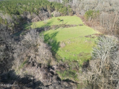 140 Acres with Farmhouse in Lorman, Mississippi - image 13
