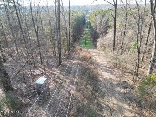 140 Acres with Farmhouse in Lorman, Mississippi