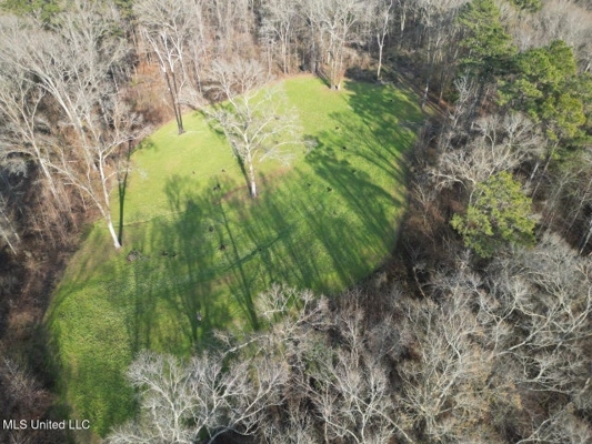140 Acres with Farmhouse in Lorman, Mississippi