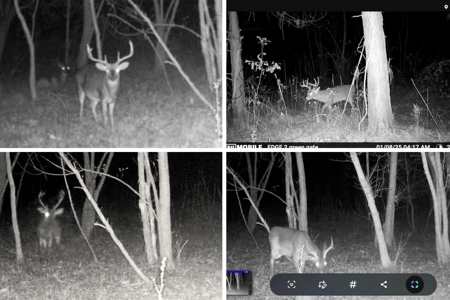 140 Acres with Farmhouse in Lorman, Mississippi - image 48