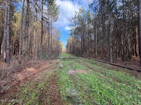 140 Acres with Farmhouse in Lorman, Mississippi