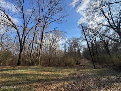 140 Acres with Farmhouse in Lorman, Mississippi - image 45