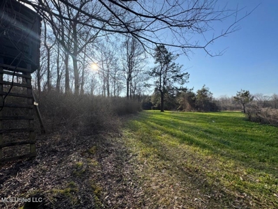 140 Acres with Farmhouse in Lorman, Mississippi - image 43
