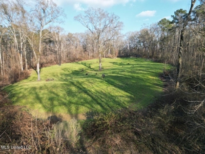 140 Acres with Farmhouse in Lorman, Mississippi - image 17