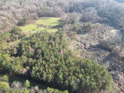 140 Acres with Farmhouse in Lorman, Mississippi - image 8